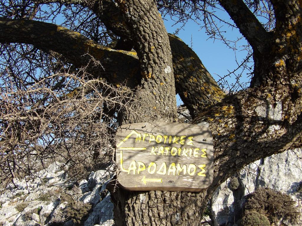 Arodamos Guesthouse Krousonas  Kültér fotó