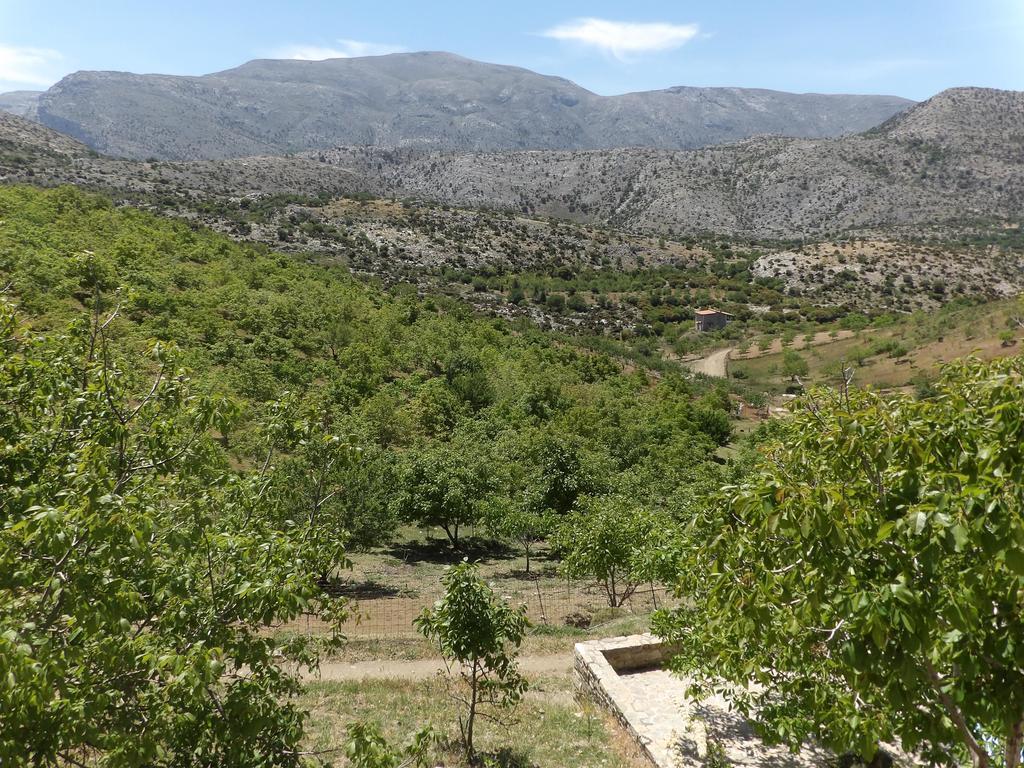 Arodamos Guesthouse Krousonas  Kültér fotó